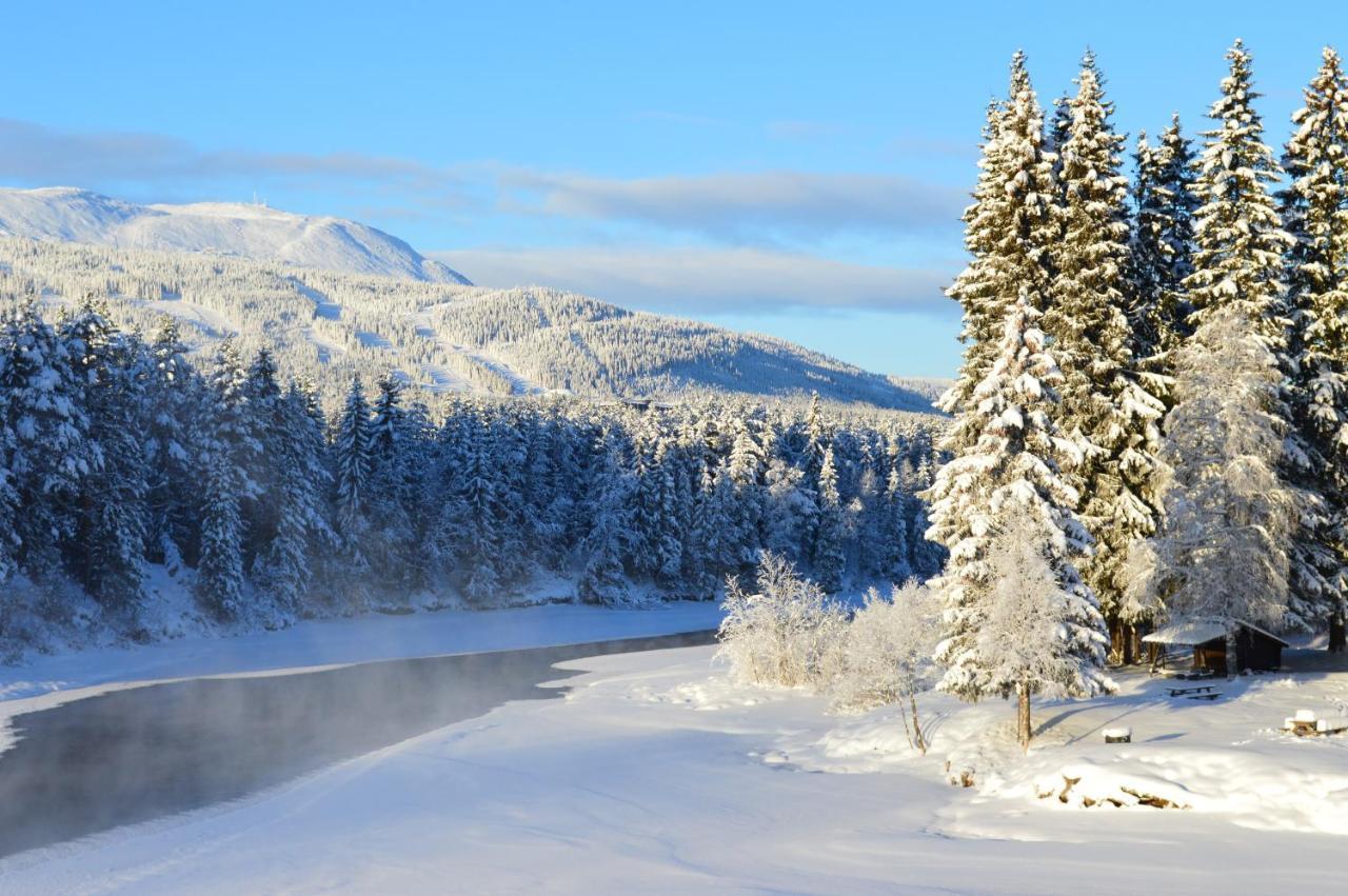 Trysil Hyttegrend Exteriér fotografie