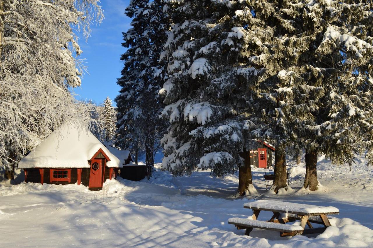 Trysil Hyttegrend Exteriér fotografie
