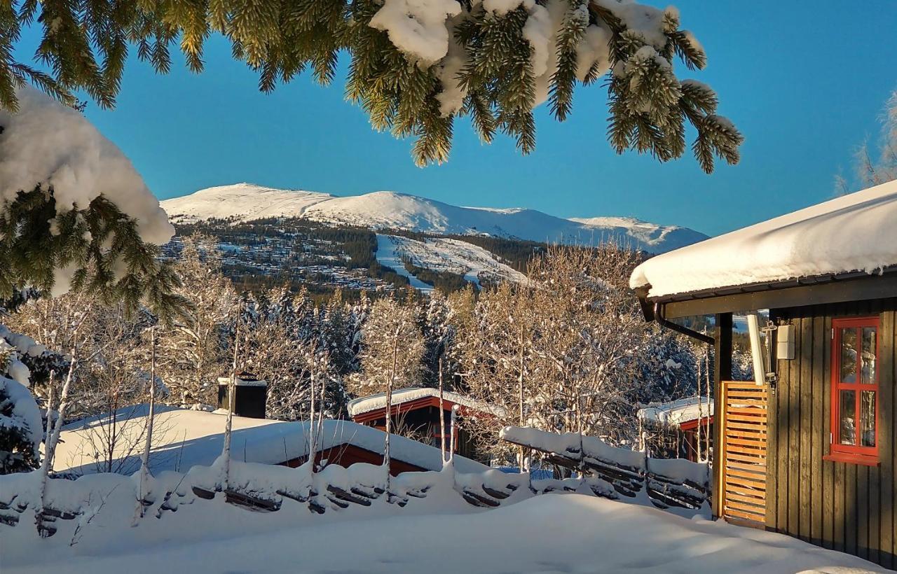 Trysil Hyttegrend Exteriér fotografie