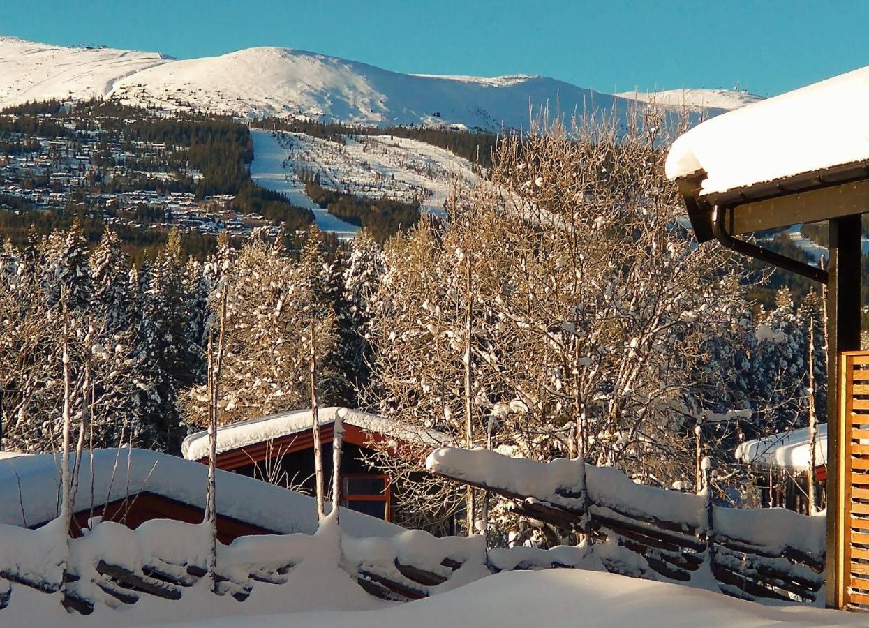 Trysil Hyttegrend Exteriér fotografie