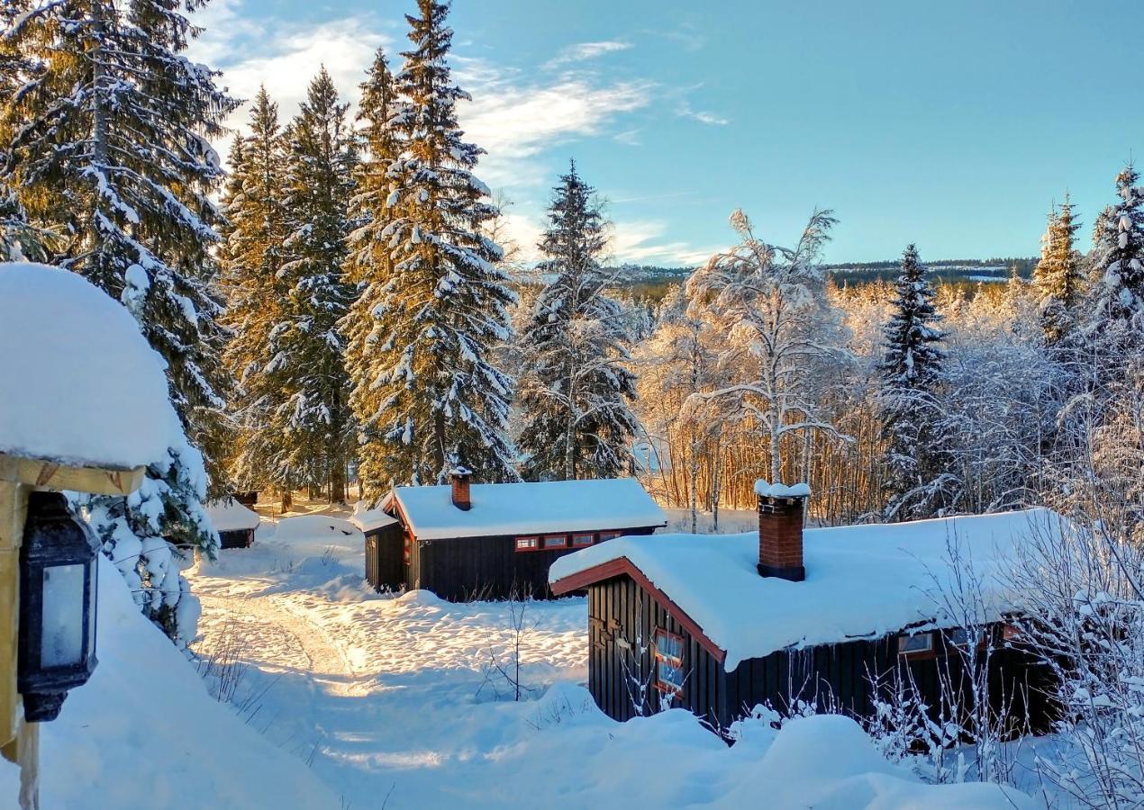 Trysil Hyttegrend Exteriér fotografie