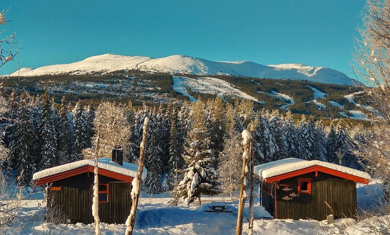 Trysil Hyttegrend Exteriér fotografie