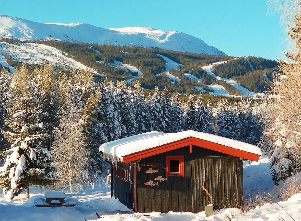 Trysil Hyttegrend Exteriér fotografie