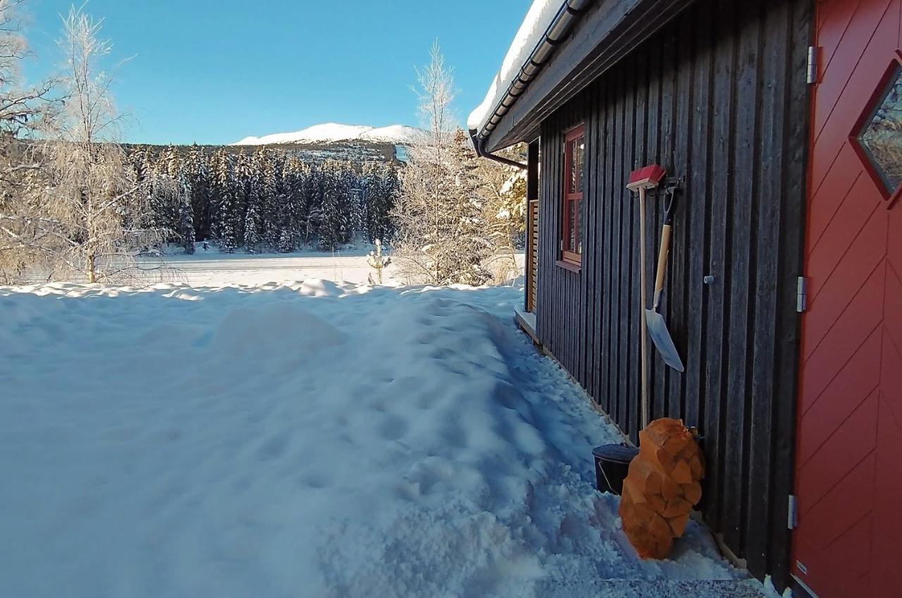 Trysil Hyttegrend Exteriér fotografie
