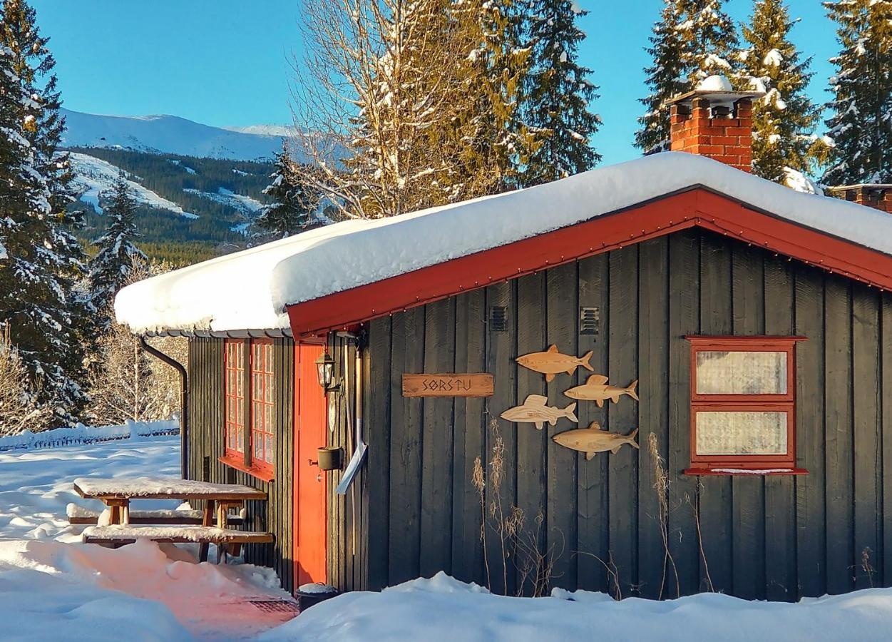 Trysil Hyttegrend Exteriér fotografie