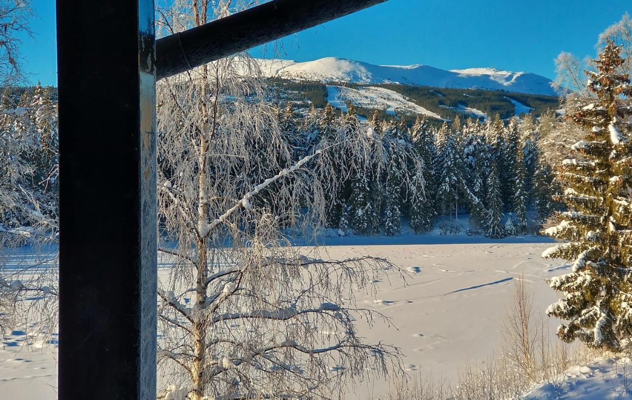 Trysil Hyttegrend Exteriér fotografie