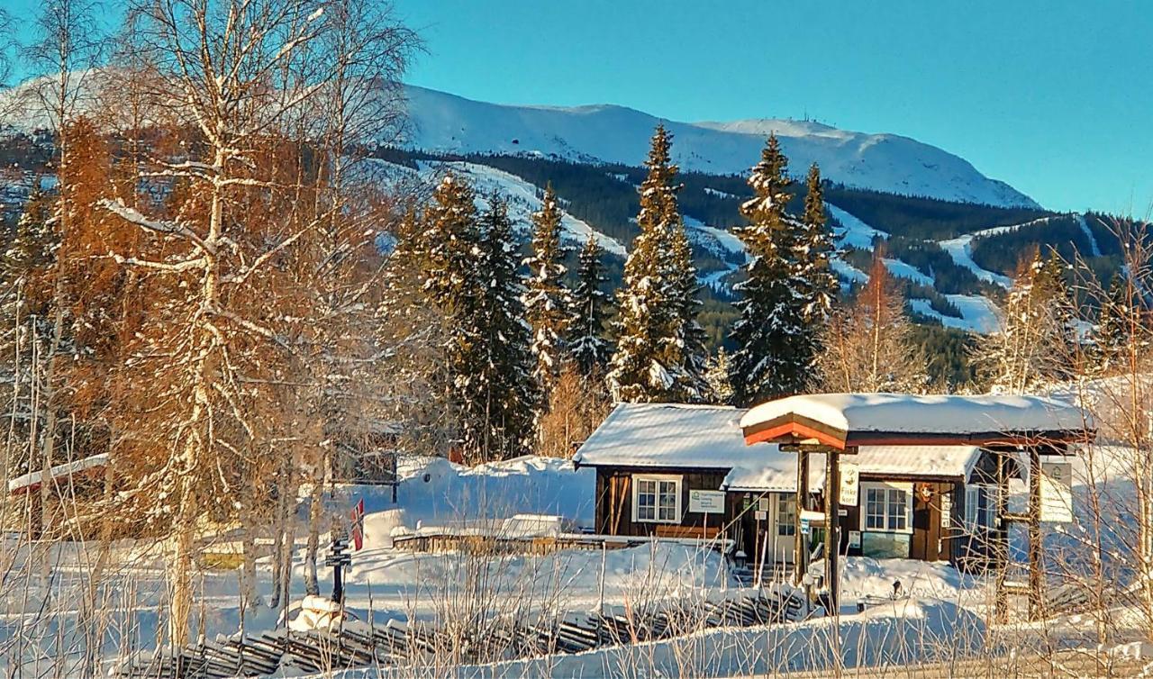 Trysil Hyttegrend Exteriér fotografie