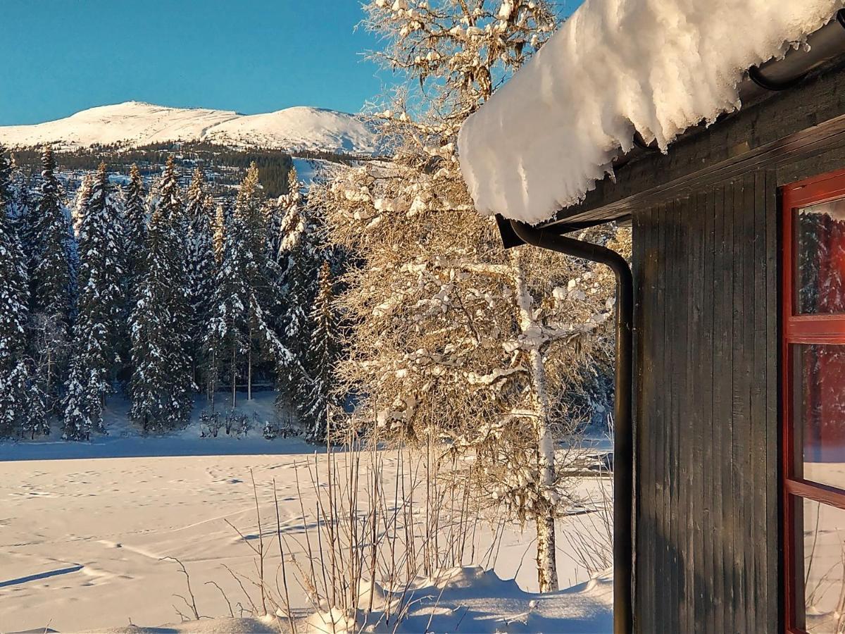 Trysil Hyttegrend Exteriér fotografie
