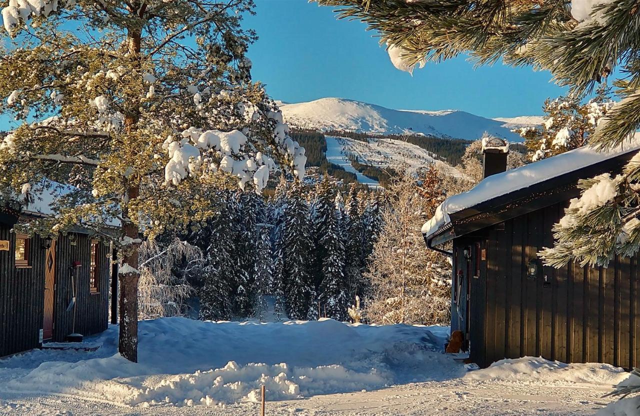Trysil Hyttegrend Exteriér fotografie