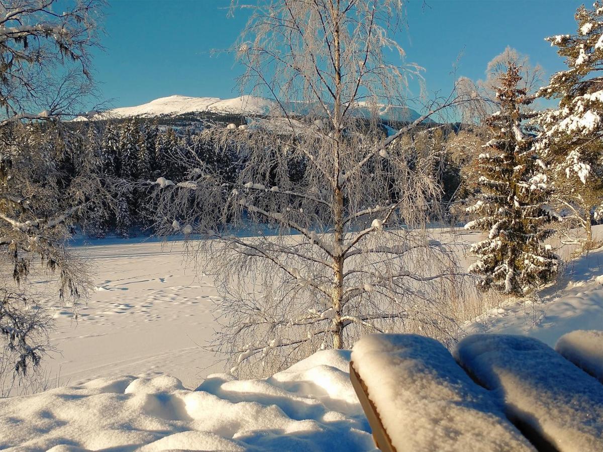 Trysil Hyttegrend Exteriér fotografie