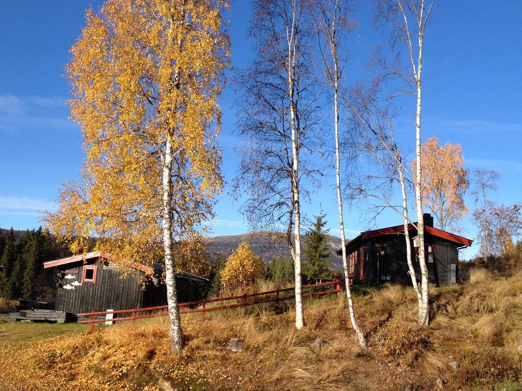 Trysil Hyttegrend Exteriér fotografie