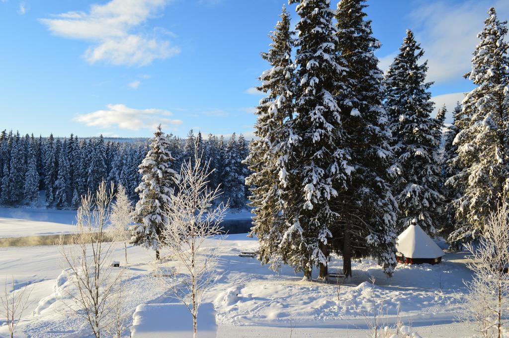 Trysil Hyttegrend Exteriér fotografie