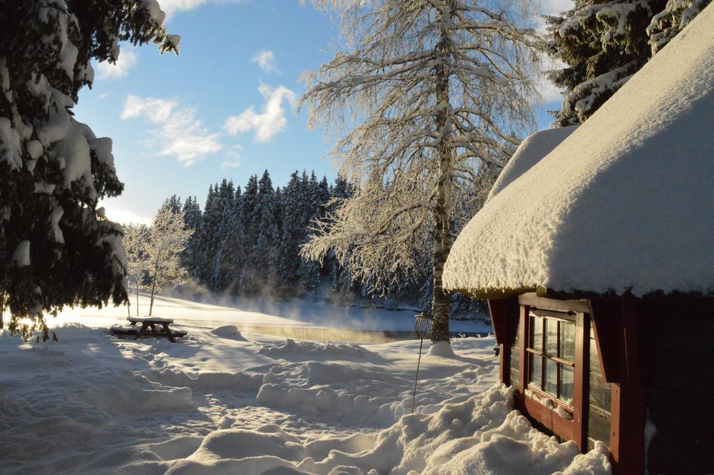 Trysil Hyttegrend Exteriér fotografie