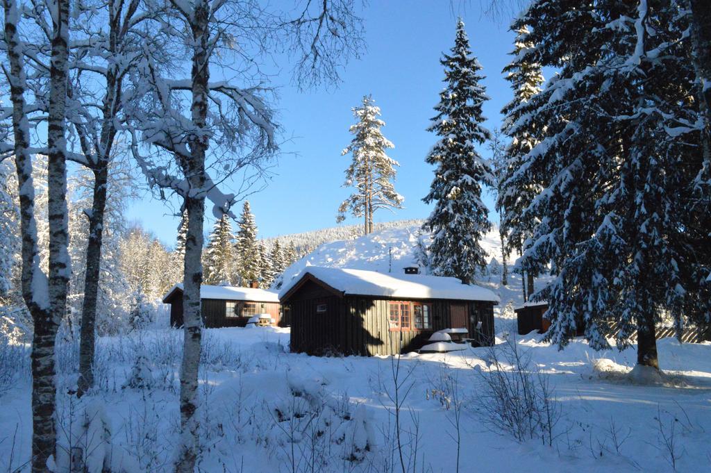 Trysil Hyttegrend Exteriér fotografie