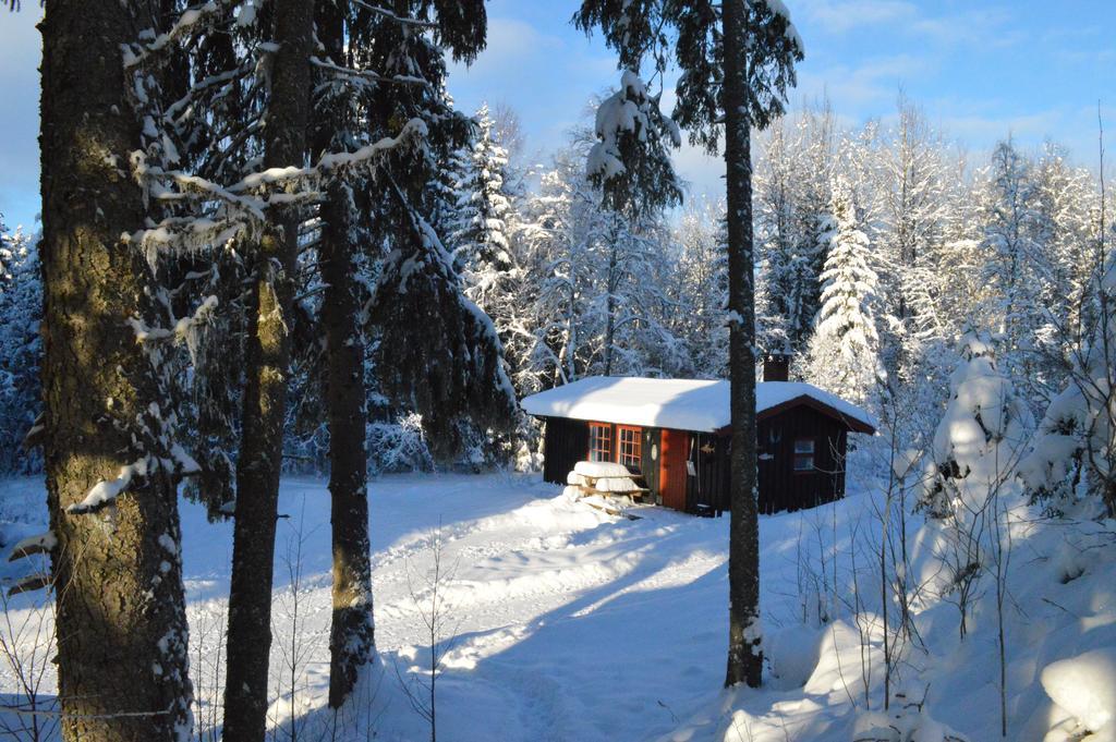 Trysil Hyttegrend Exteriér fotografie
