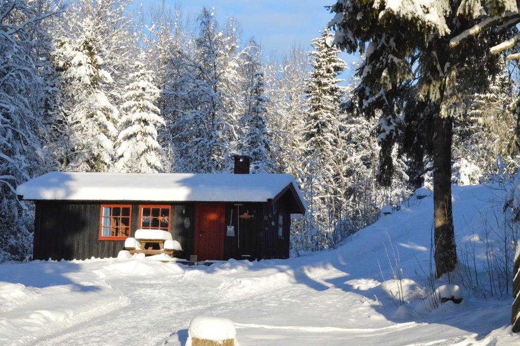 Trysil Hyttegrend Exteriér fotografie