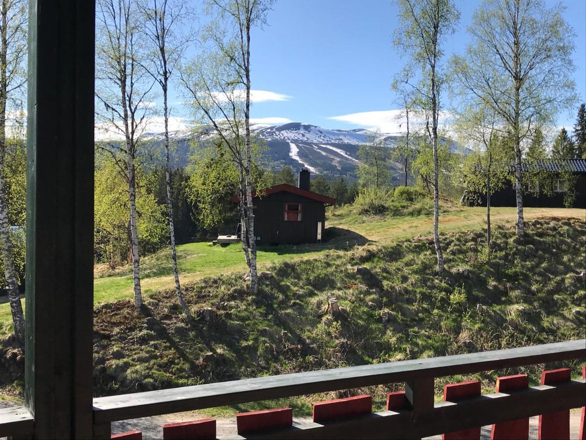 Trysil Hyttegrend Exteriér fotografie